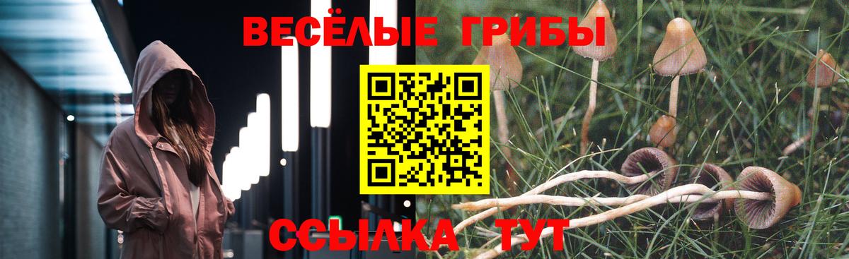 Псилоцибиновые грибы ЛСД  Галлюциногенные грибы мицелий  Снежинск  Вход с VPN 
